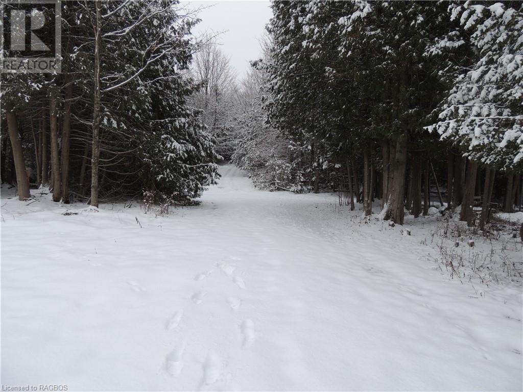 Part Of Lot 13 Penny Lane, Grey Highlands, Ontario  N0C 1E0 - Photo 1 - 40518960