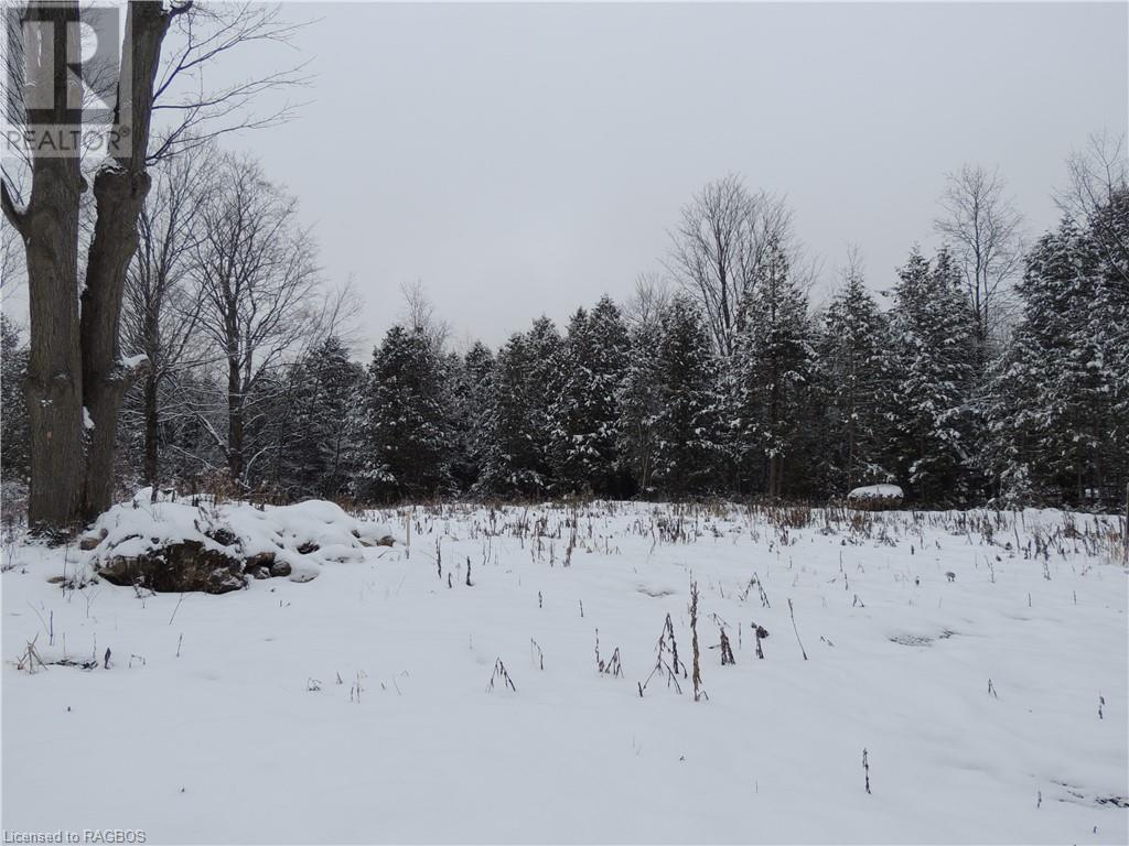 Part Of Lot 13 Penny Lane, Grey Highlands, Ontario  N0C 1E0 - Photo 3 - 40518960
