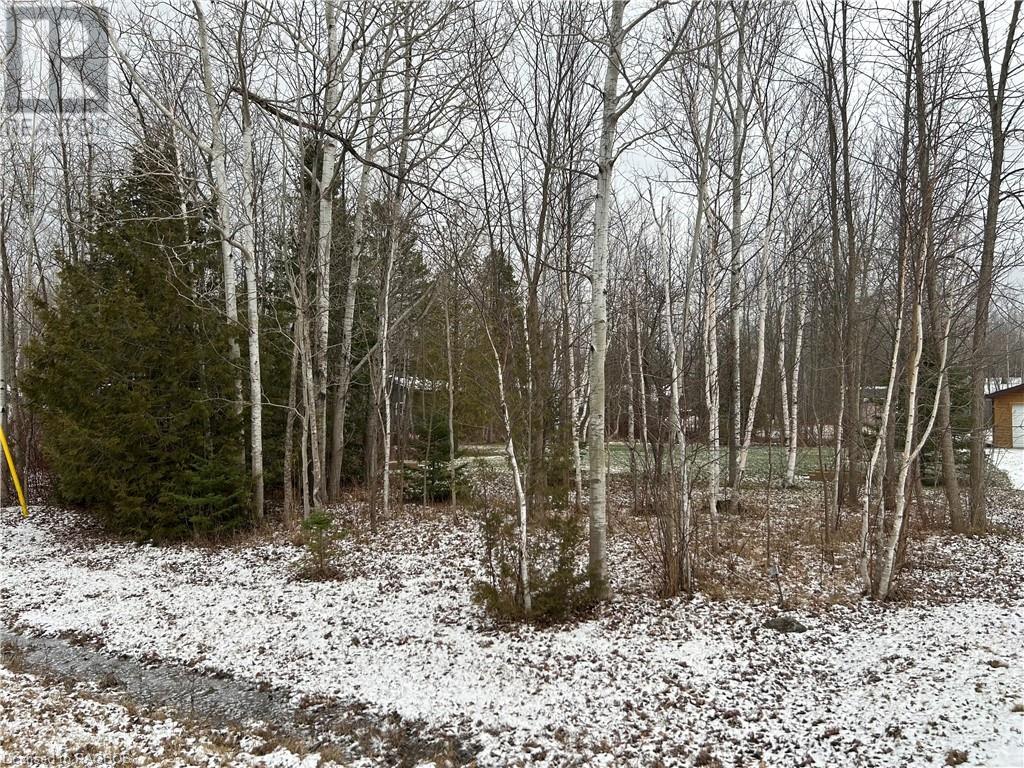 Pt 7 Part Lot 23 Maple Drive, Northern Bruce Peninsula, Ontario  N0H 1Z0 - Photo 1 - 40527821