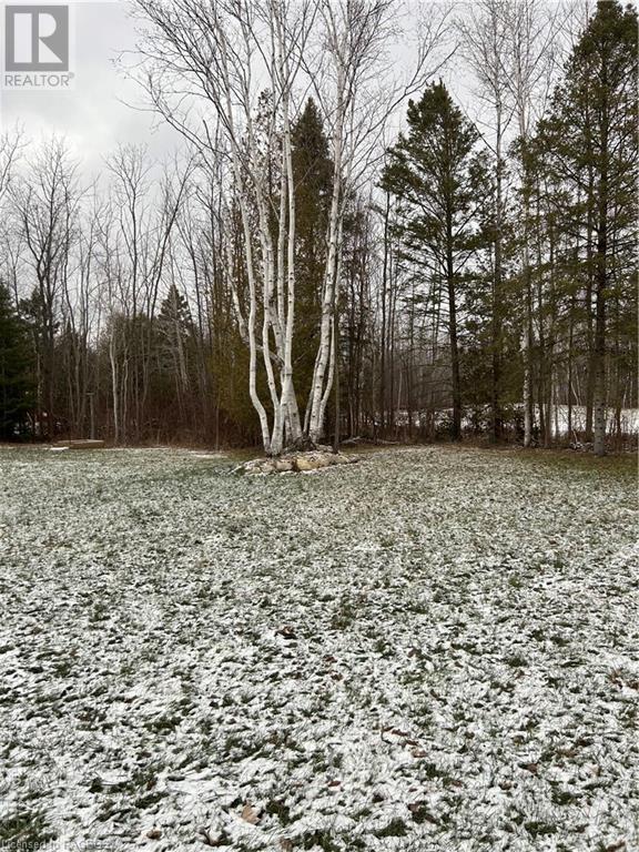 Pt 7 Part Lot 23 Maple Drive, Northern Bruce Peninsula, Ontario  N0H 1Z0 - Photo 4 - 40527821