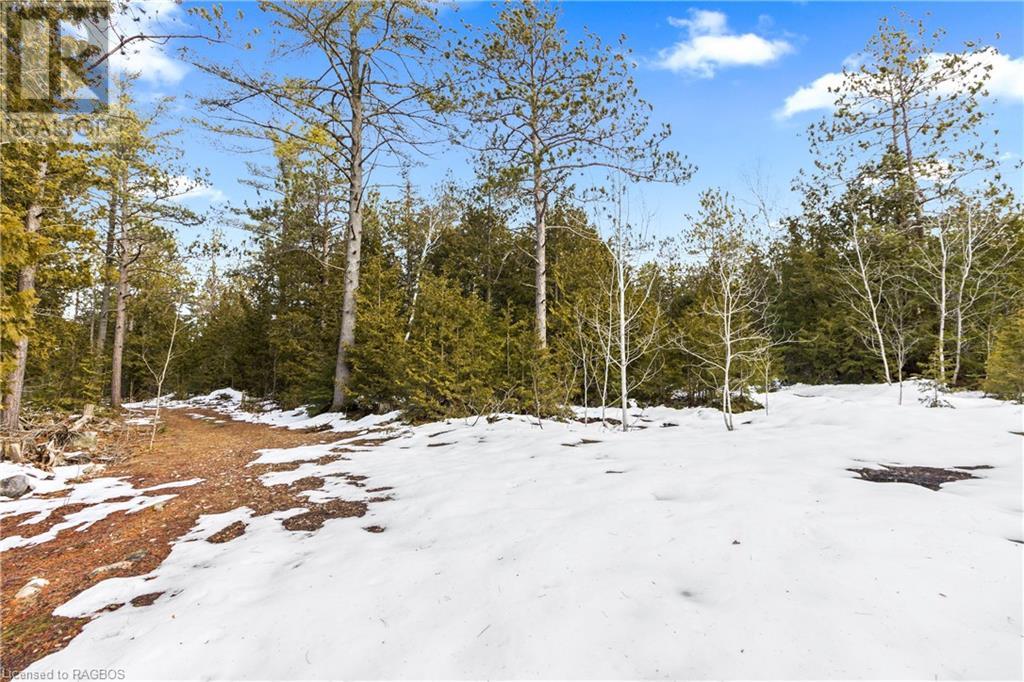 Lot 41 & 42 4 Concession, Northern Bruce Peninsula, Ontario  N0H 1Z0 - Photo 1 - 40537828