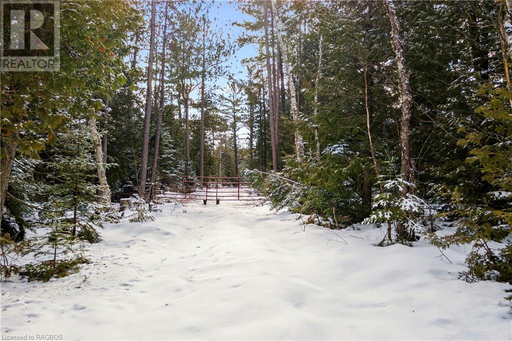 Lot 41 & 42 4 Concession, Northern Bruce Peninsula, Ontario  N0H 1Z0 - Photo 11 - 40537828