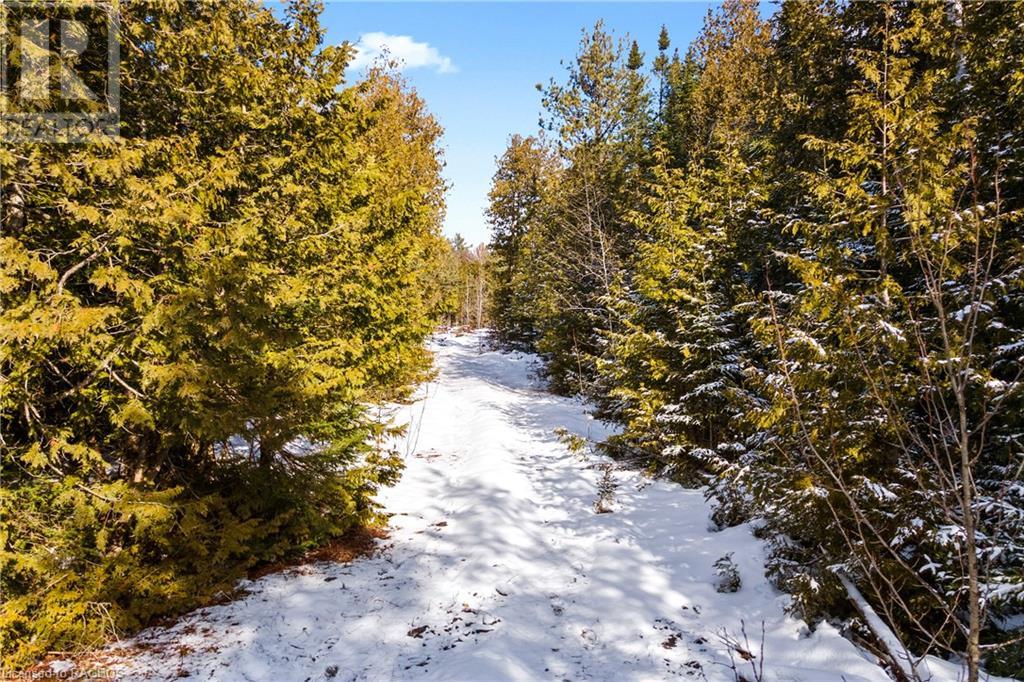 Lot 41 & 42 4 Concession, Northern Bruce Peninsula, Ontario  N0H 1Z0 - Photo 13 - 40537828