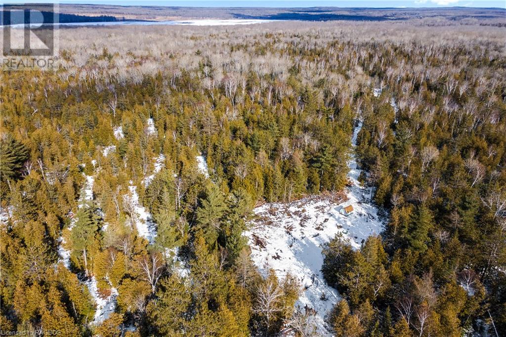 Lot 41 & 42 4 Concession, Northern Bruce Peninsula, Ontario  N0H 1Z0 - Photo 15 - 40537828