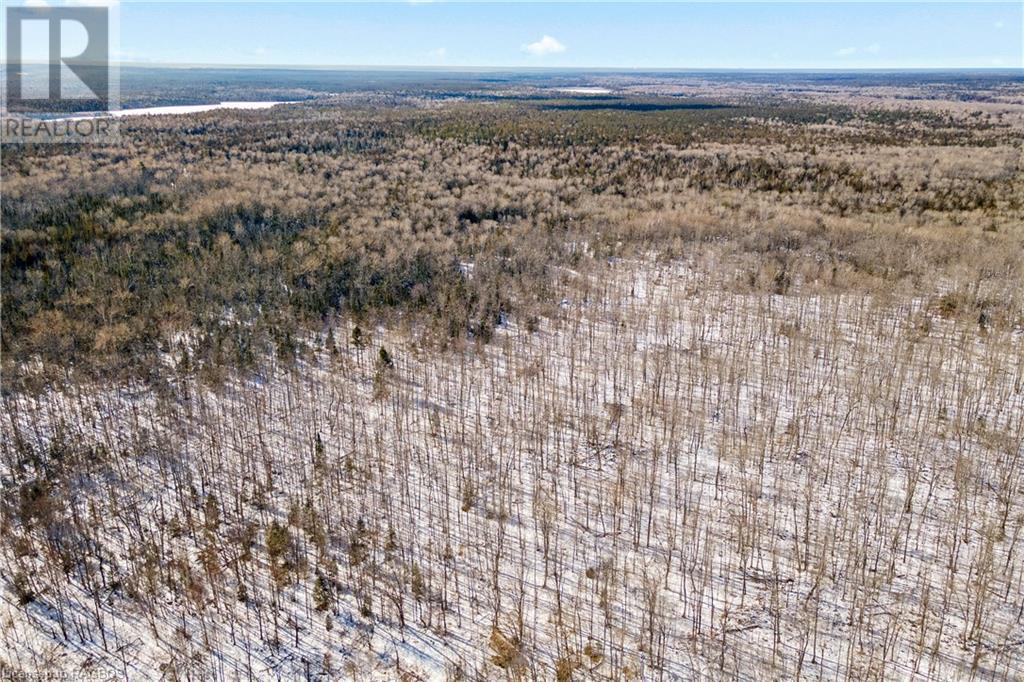 Lot 41 & 42 4 Concession, Northern Bruce Peninsula, Ontario  N0H 1Z0 - Photo 2 - 40537828