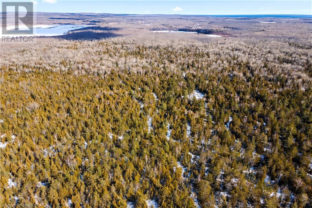 Lot 41 & 42 4 Concession, Northern Bruce Peninsula, Ontario  N0H 1Z0 - Photo 33 - 40537828