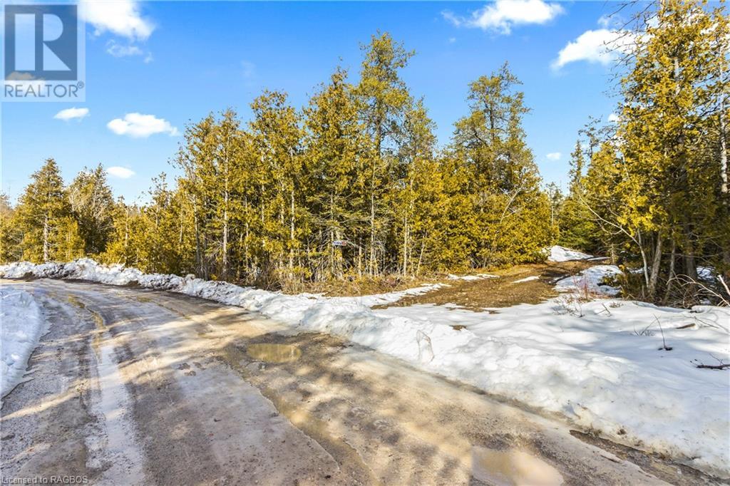 Lot 41 & 42 4 Concession, Northern Bruce Peninsula, Ontario  N0H 1Z0 - Photo 6 - 40537828