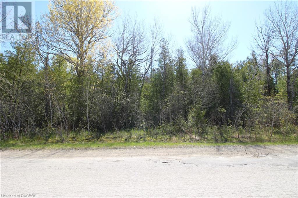 Lot 4 Sunset Drive, Howdenvale, Ontario  N0H 1X0 - Photo 7 - 40564507